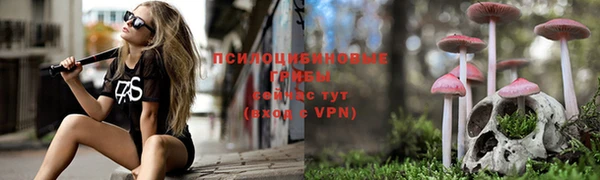 дурь Аркадак