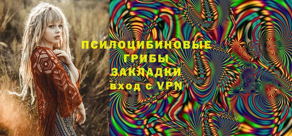 дурь Аркадак